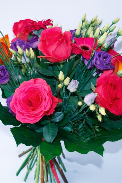 bukiet warszawa poczta kwiatowa darmowa dostawa