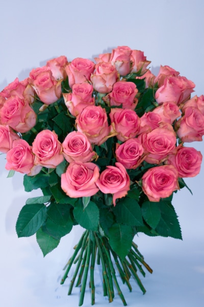 róże poczta kwiatowa warszawa darmowa dostawa